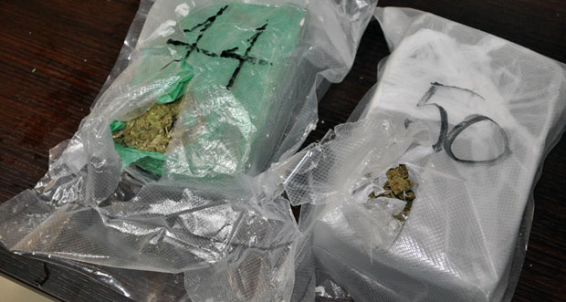 НЕСВАКИДАШЊИ УЛОВ ЦРНОГОРСКЕ ПОЛИЦИЈЕ: Пронађено 60 килограма сканка